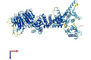 Hect Domain and RLD 3 (HERC3) (AA 1-1050) protein (His tag)
