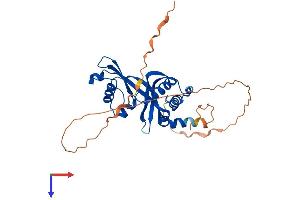 AMMECR1-Like (AMMECR1L) (AA 1-310) protein (His tag)