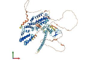 AlphaFold protein structure predicition of Human Recombinant RASGRP1 Protein, UniprotID O95267 (RASGRP1 Protein (AA 1-797) (His tag))