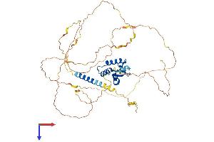 ETV5 Protein (AA 1-510) (His tag)