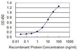 Detection limit for recombinant GST tagged EML4 is 0. (EML4 antibody  (AA 1-62))