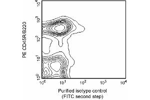 Expression of CD21/CD35 on splenic B lymphocytes. (CD21 antibody)