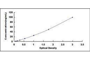 Typical standard curve (Selectin E/CD62e ELISA Kit)