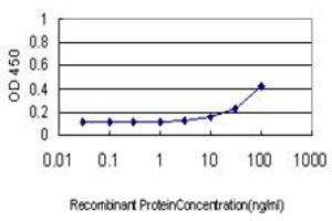 Detection limit for recombinant GST tagged HCK is approximately 3ng/ml as a capture antibody. (HCK antibody  (AA 1-80))