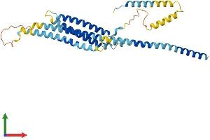 AlphaFold protein structure predicition of Mouse Recombinant Stx16 Protein, UniprotID Q8BVI5 (Syntaxin 16 Protein (STX16) (AA 1-326) (His tag))