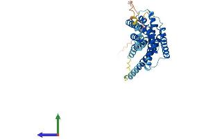 Protein Structure (PS) image for Purinergic Receptor P2Y, G-Protein Coupled, 12 (P2RY12) (AA 1-347) protein (His tag) (ABIN7560487)