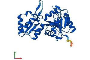 AlphaFold protein structure predicition of Mouse Recombinant Hdhd2 Protein, UniprotID Q3UGR5