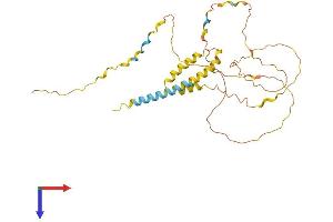 AlphaFold protein structure predicition of Human Recombinant PRRT1 Protein, UniprotID Q99946 (PRRT1 Protein (AA 1-306) (His tag))