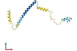 Protein Structure (PS) image for Complexin 1 (CPLX1) (AA 1-134) protein (His tag) (ABIN7556638)