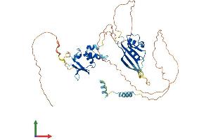 Protein Structure (PS) image for Potassium Channel Tetramerisation Domain Containing 8 (KCTD8) (AA 1-473) protein (His tag) (ABIN7548857)