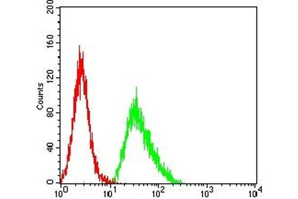 CD137 antibody  (AA 214-255)