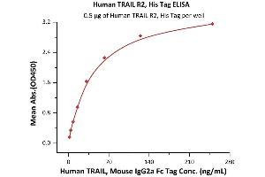 Immobilized Human TRAIL R2, His Tag (ABIN2181867,ABIN2181866) at 5 μg/mL (100 μL/well) can bind Human TRAIL, Mouse IgG2a Fc Tag (ABIN6933657,ABIN6938881) with a linear range of 2-63 ng/mL (QC tested).