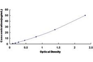 Typical standard curve (CHRNA1 ELISA Kit)