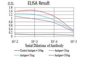 Black line: Control Antigen (100 ng), Purple line: Antigen(10 ng), Blue line: Antigen (50 ng), Red line: Antigen (100 ng), (SIRT7 antibody  (AA 1-105))