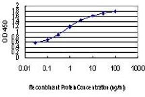 Detection limit for recombinant GST tagged NEDD1 is approximately 0. (NEDD1 antibody  (AA 561-660))