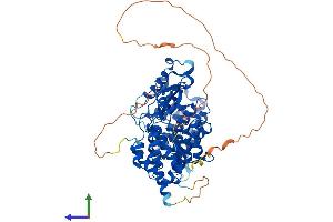 AlphaFold protein structure predicition of Mouse Recombinant Men1 Protein, UniprotID O88559 (Menin Protein (AA 1-611) (His tag))