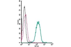 Cell surface detection of EphA4 by indirect flow cytometry in live intact human THP-1 monocytic leukemia cell line: (black line) Cells. (EPH Receptor A4 antibody  (Extracellular, N-Term))
