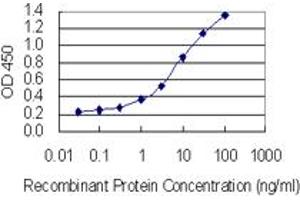 Detection limit for recombinant GST tagged SPANXN3 is 0. (SPANXN3 antibody  (AA 1-141))