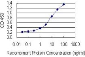 Detection limit for recombinant GST tagged SPANXN3 is 0. (SPANXN3 antibody  (AA 1-141))