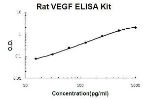 Rat VEGF PicoKine ELISA Kit standard curve