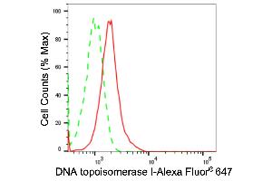 Flow cytometric analysis of DNA topoisomerase I expression in HT- cells using DNA topoisomerase I antibody (ABIN7800571), 1:2,000).