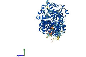 AlphaFold protein structure predicition of Human Recombinant DQX1 Protein, UniprotID Q8TE96