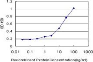 Detection limit for recombinant GST tagged MAP2K6 is approximately 0. (MAP2K6 antibody  (AA 231-334))