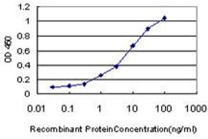Detection limit for recombinant GST tagged GPNMB is approximately 0. (Osteoactivin antibody  (AA 104-203))