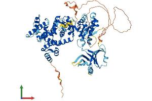 AlphaFold protein structure predicition of Human Recombinant TBC1D23 Protein, UniprotID Q9NUY8
