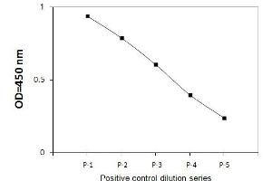 CDK1 ELISA Kit