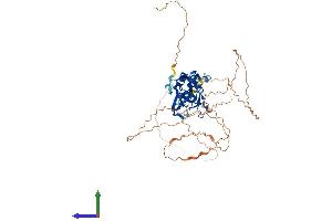 AlphaFold protein structure predicition of Mouse Recombinant Tbx5 Protein, UniprotID P70326