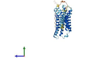 Protein Structure (PS) image for G Protein-Coupled Receptor 132 (GPR132) (AA 1-380) protein (His tag) (ABIN7554043)