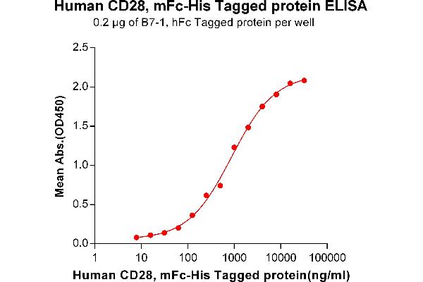 CD28 Protein (CD28) (mFc-His Tag)