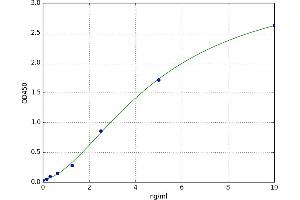 Pim-3 Oncogene (PIM3) ELISA Kit