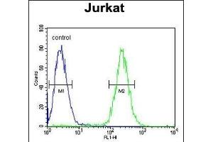 GNAT1 Antibody (C-term) (ABIN653740 and ABIN2843042) flow cytometric analysis of Jurkat cells (right histogram) compared to a negative control cell (left histogram). (GNAT1 antibody  (C-Term))