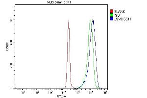 Flow Cytometry analysis of JK cells using anti-LSM8 antibody (ABIN7599578).