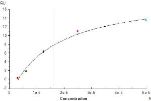 Human Siglec-10, His Tag captured on CM5 Chip via anti-His antibody can bind Human CD52, mFc Tag with an affinity constant of 15. (CD52 Protein (CD52) (AA 25-36) (mFc Tag))