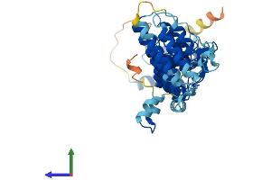 AlphaFold protein structure predicition of Human Recombinant ASB6 Protein, UniprotID Q9NWX5 (ASB6 Protein (AA 1-421) (His tag))