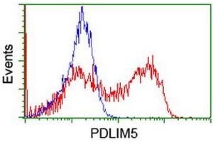 HEK293T cells transfected with either RC200592 overexpress plasmid (Red) or empty vector control plasmid (Blue) were immunostained by anti-PDLIM5 antibody (ABIN2455650), and then analyzed by flow cytometry. (PDLIM5 antibody)