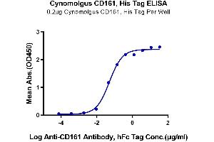 ELISA image for Killer Cell Lectin-Like Receptor Subfamily B, Member 1 (KLRB1) (AA 67-227) protein (His-Avi Tag) (ABIN7274061)