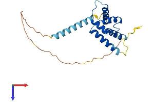 AlphaFold protein structure predicition of Human Recombinant C7orf50 Protein, UniprotID Q9BRJ6 (C7orf50 Protein (AA 1-194) (His tag))