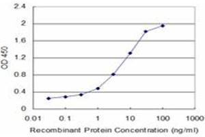 Detection limit for recombinant GST tagged FAS is approximately 0. (FAS antibody  (AA 20-119))