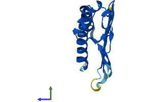 AlphaFold protein structure predicition of Mouse Recombinant Magohb Protein, UniprotID Q9CQL1