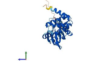 Protein Structure (PS) image for TP53 Regulating Kinase (TP53RK) (AA 1-253) protein (His tag) (ABIN7550941)
