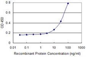 Detection limit for recombinant GST tagged TCN2 is 1 ng/ml as a capture antibody. (TCN2 antibody  (AA 1-400))
