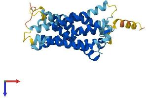 AlphaFold protein structure predicition of Mouse Recombinant Mrgpra1 Protein, UniprotID Q91WW5 (Mrgpra1 Protein (AA 1-304) (His tag))