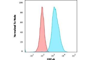 Flow Cytometric Analysis of U2OS cells using CD40 Mouse Monoclonal Antibody (C40/1605) followed by goat anti-Mouse IgG-CF488 (Blue); Isotype Control (Red). (CD40 antibody)