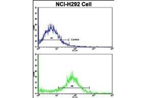 Flow cytometric analysis of NCI- cells using VTI1A Antibody (C-term)(bottom histogram) compared to a negative control cell (top histogram). (VTI1A antibody  (C-Term))