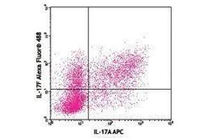 Flow Cytometry (FACS) image for anti-Interleukin 17F (IL17F) antibody (Alexa Fluor 488) (ABIN2657542) (IL17F antibody  (Alexa Fluor 488))