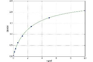 Fibroblast Growth Factor Receptor 3 (FGFR3) ELISA Kit